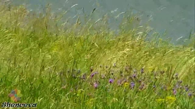 Деревня моя, деревянная дальняя... ✦ - Красивая песня про деревню смотреть онлайн