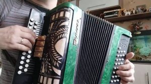 Если б гармошка умела все говорить не тая