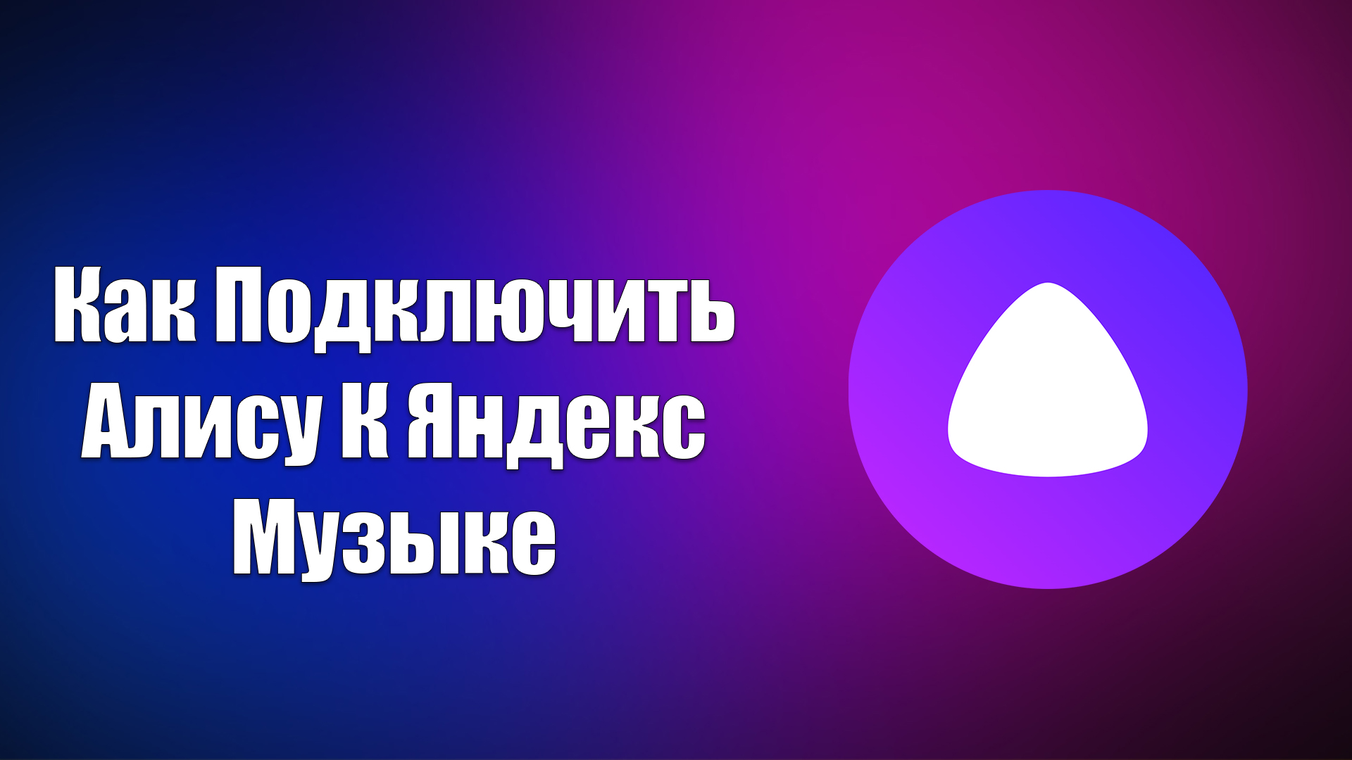 Всезнающий Енот 2.0