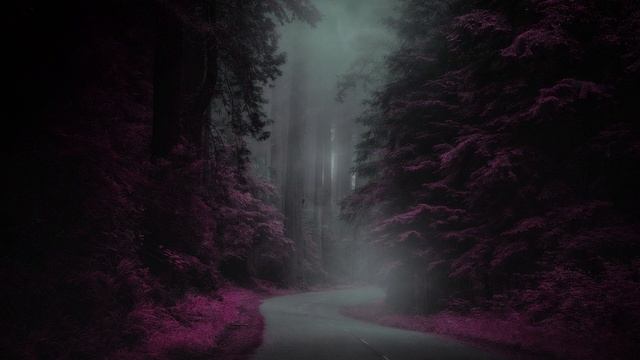 Music for Meditation • The Magic Forest • Ambient смотреть онлайн