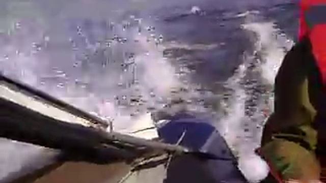 ПУХ 203.avi смотреть онлайн