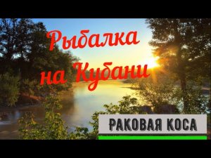Супер ловля карася леща и густеры на фидер Река Кубань  Район Раковой косы Краснодар