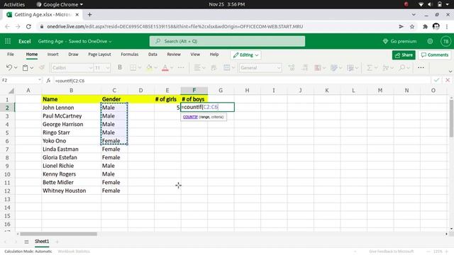 Counting How many Girls and Boys in Excel смотреть онлайн