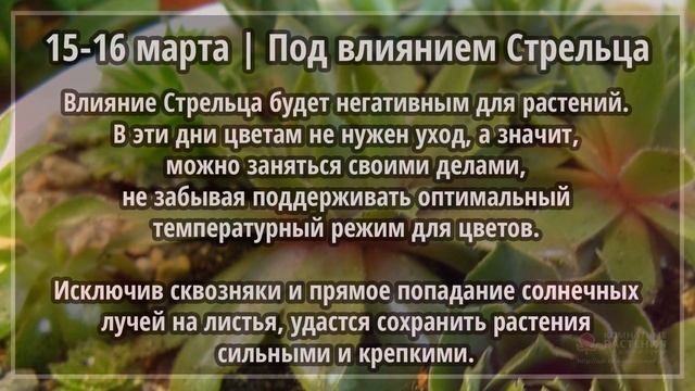 Март 2020 г. | Лунный календарь комнатных растений смотреть онлайн