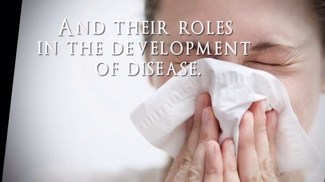 Darlene D. Hall, R.N.-Mind-Body-God Connection:How I Found Healing, A New Way of Looking at Disease смотреть онлайн