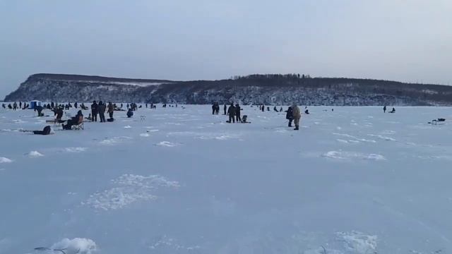 Де-Кастри. Рыбалка. Новости от друзей. Корюшка. Тигиль. 10.12.2022г. смотреть онлайн