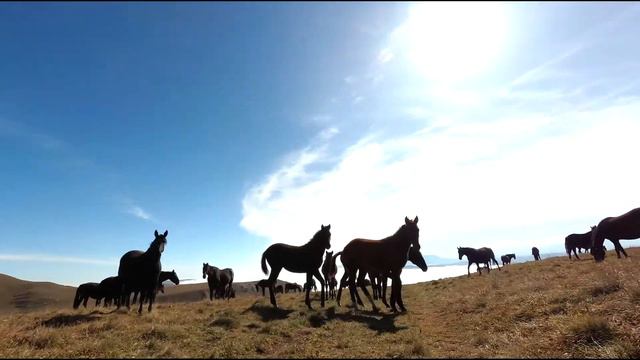 Bicycle ride to Bermamyt Plateau, Russia / Вело - путешествие к плато Бермамыт смотреть онлайн