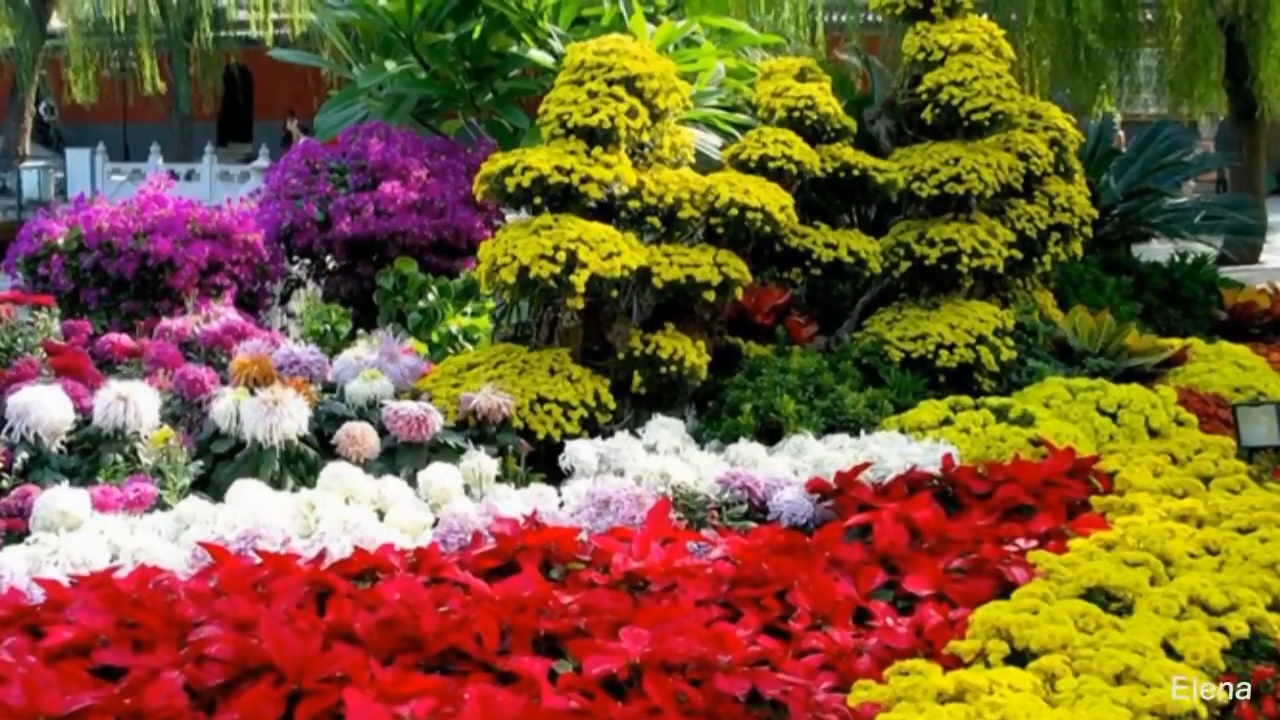 Виды миксбордера  *    Ландшафтный дизайн