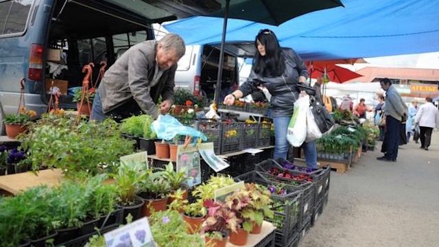 Бабушка огородница открыла секрет как бороться с медведкой на даче смотреть онлайн
