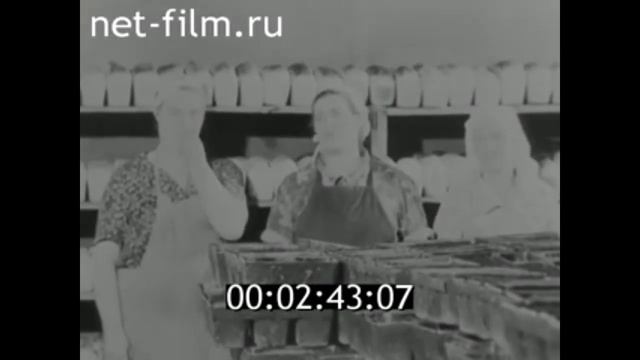 1987г. д. Нижняя Банновка Красноармейский район Саратовская обл смотреть онлайн