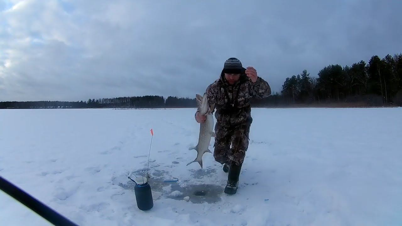 И СНОВА я её ПОЙМАЛ #shorts смотреть онлайн