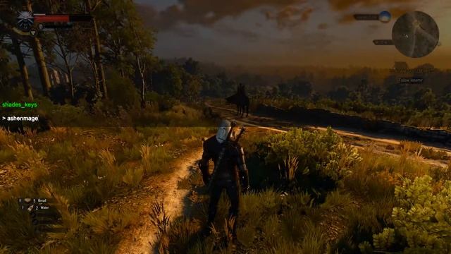 ? Witcher 3 | Fastest Way To Enable The Debug Console [GUIDE]