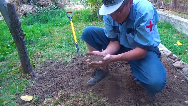 17 Появился зелёный изумруд в земле 2 смотреть онлайн