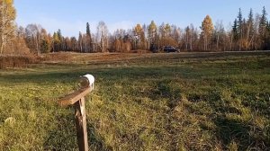 BLACK STRIKE B022. 50м .пробный отстрел.