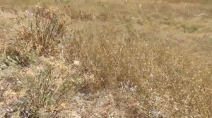 Сахарная Головка, Севастополь. Поход к озеру и роднику.