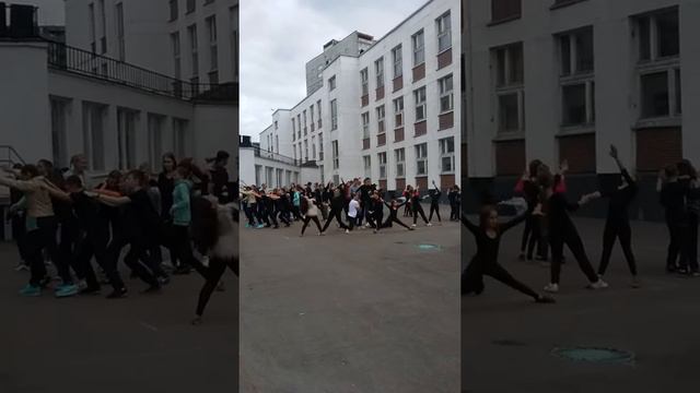 ФЛЕШМОБ Джунгли репетиция смотреть онлайн
