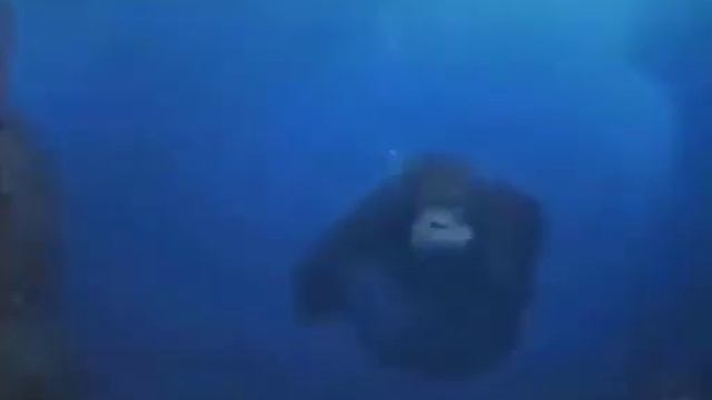 манки делает буль буль смотреть онлайн