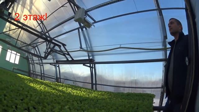 Чудо - Теплица в 3 этажа!!! смотреть онлайн