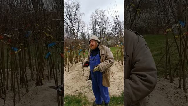Deutschlandreise im Gespräch mit Eckhardt Brandt смотреть онлайн