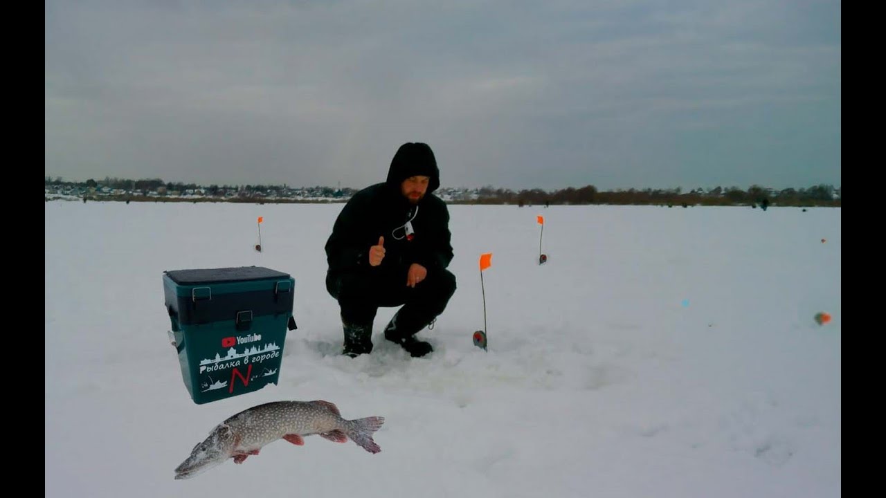 Такого у меня ещё не было!!!Не успел выставить жерлицы...