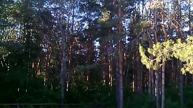 Беспредел в Энгельсе смотреть онлайн