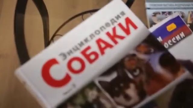 каркасный офис общим размером 8,5х6,0м. смотреть онлайн