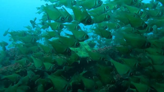 Key Biscayne Wreck | 07 April 2023 смотреть онлайн
