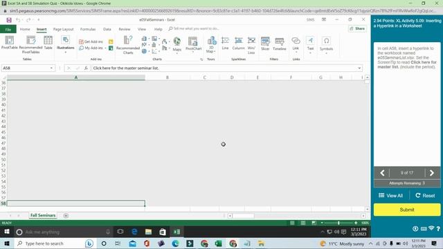 Excel 5A and 5B Simulation Quiz | Complete Academics Help смотреть онлайн