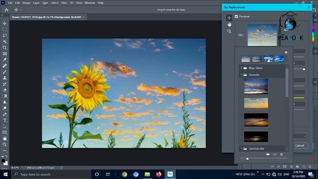 Adobe Photoshop cc 2021 - System Requirements, Installation, New features (Sinhala) смотреть онлайн