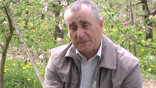 Защитить урожай черешни от птиц смотреть онлайн