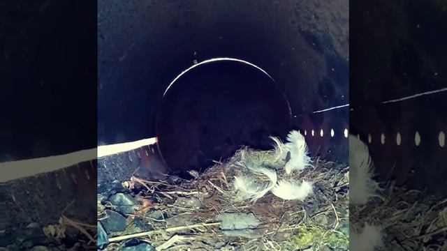 Мы нашли квартирантов!) смотреть онлайн