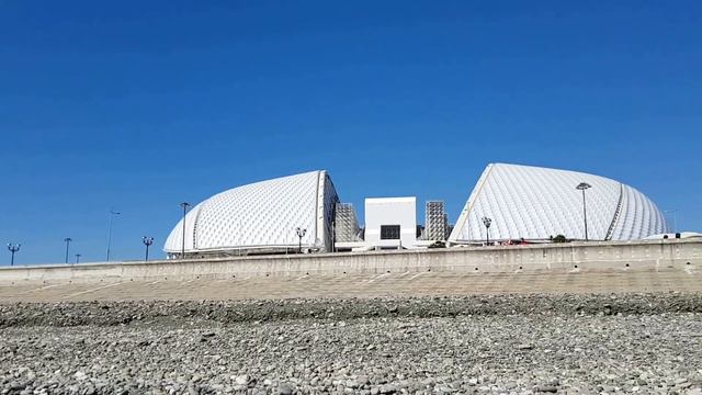 Лебедь, поселившийся в море около Адлера смотреть онлайн
