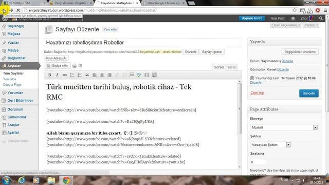 Wordpress'də iki sorunum var. смотреть онлайн