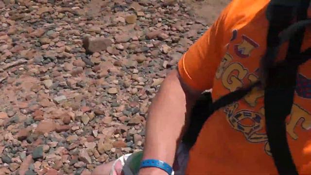 Египет Дахаб прогулка на верблюдах от первого лица