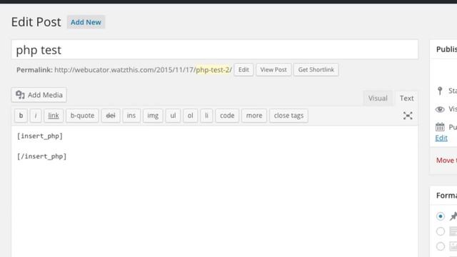 Insert PHP WordPress Plugin смотреть онлайн