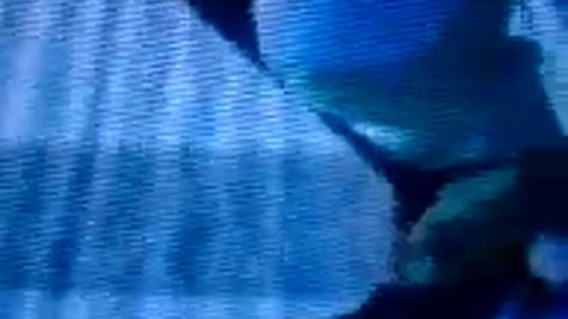 Shaun White snowboarding broken board! смотреть онлайн