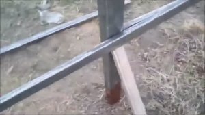 Как приварить прожилины к столбам. Забор своими руками