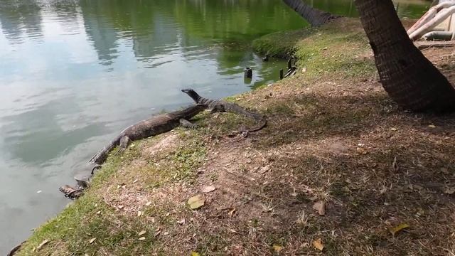 Что посмотреть в Бангкоке 2023? Основные достопримечательности! Интересные факты! Дворцы и трущобы смотреть онлайн