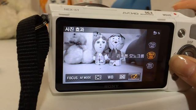 NEX-5T FN기능 смотреть онлайн