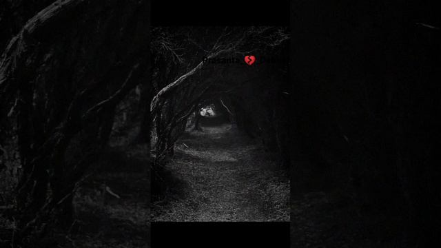 Horror seen"s dangerous sound and Hollywood horror films@Prasanta__Debnath05 смотреть онлайн