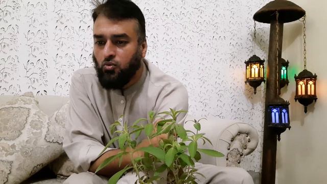 Diabetes, Coronavirus And Diabetes, And Stevia (Urdu)