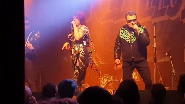 Groovy Room The Rezillos смотреть онлайн