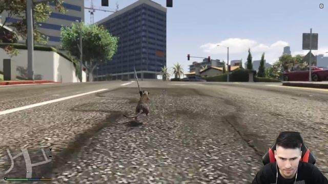 СТАВАМ МИШКА ТЕРОРИСТ ЗА 1 ДЕН В GTA 5 ? смотреть онлайн