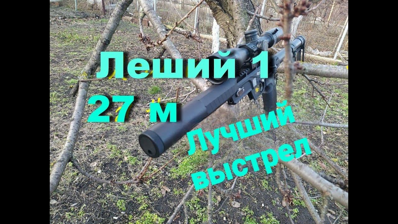 Эдган Леший 4.5 стрельба из пневматической винтовки смотреть онлайн