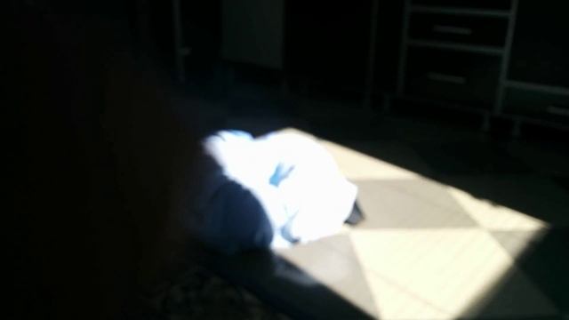 Куда ты спрятал коробку?