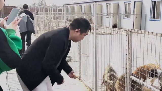 Across the Miles Heartwarming Fans Visited 4,000 Furry Friends with Passion and Love смотреть онлайн