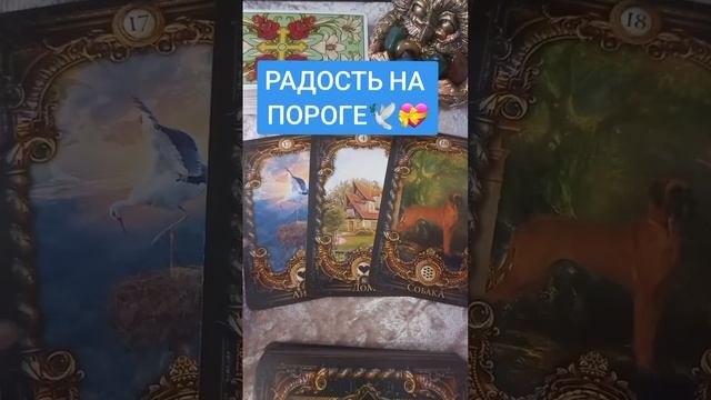 РАДОСТЬ НА ПОРОГЕ ?? смотреть онлайн