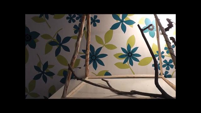 Делаем стенд для попугаев смотреть онлайн