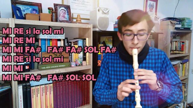 Animal Instinct - The Cranberries en flauta dulce con NOTAS смотреть онлайн