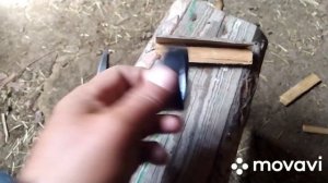 Ягненок сломал ногу. Способ лечения